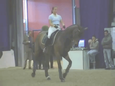Isabell Werth abusing her horse during a warm-up.