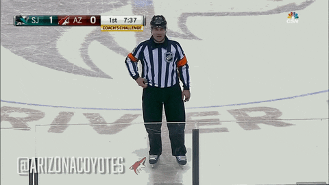 Ice Hockey GIF by Arizona Coyotes