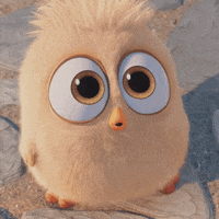 external_gif
