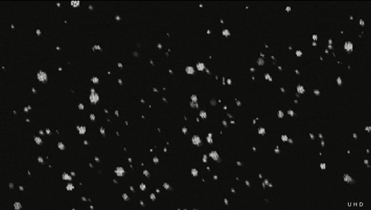 Black & White Snow GIF by Uwe Heine Debrodt