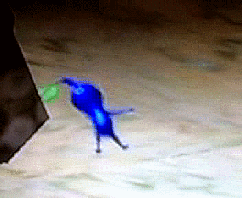 giphy.gif