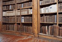 Іменник приміряє всі 7 відмінкових «костюмів» 📚