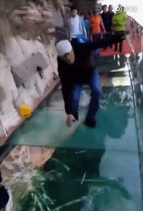 стеклянная дорожка треснула, розыгрыш стеклянная дорожка, трескается стеклянная дорожка под ногмами