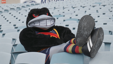 Cheering Mascot GIF by Adelaide Crows - Find & Share on GIPHY