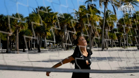 University Of Miami Volleyball GIF by Miami Hurricanes - Find & Share on GIPHY