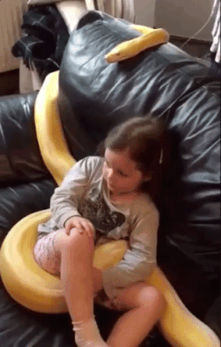 Snake And The Girl in animals gifs