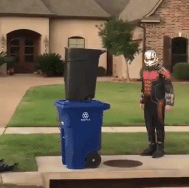 Ant Man In Real Life in funny gifs