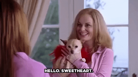 Amy Poehler Hello Sweetheart GIF - Find & Share on GIPHY