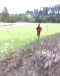 athletics