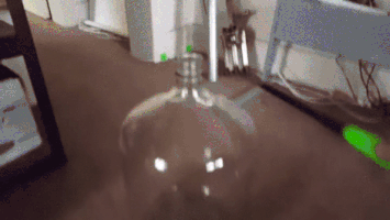 external_gif