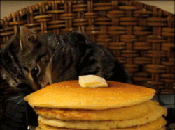 Kitty-Licked Butter, y'all!