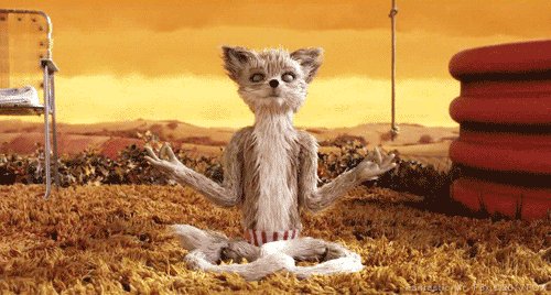 Zen Wes Anderson GIF by 20th Century Fox Home Entertainment - Find & Share on GIPHY