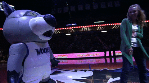 The best Minnesota Timberwolves GIFs on the internet