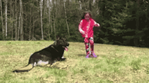 Dog At Its BEst in animals gifs