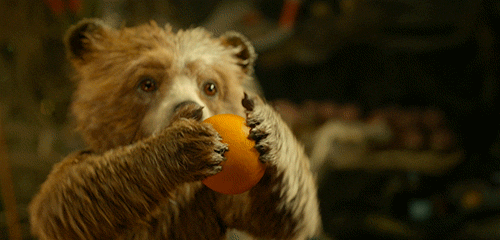 Animated bear pulls an orange apart.