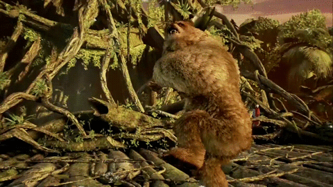 giphy.gif