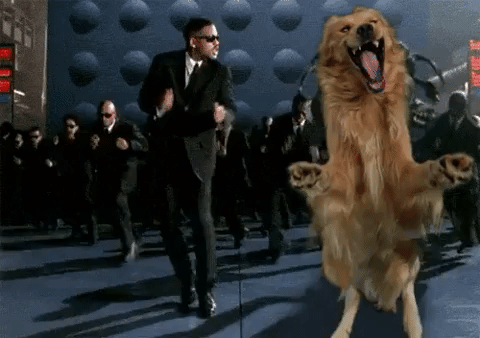 улыбающаяся собака битва фотошоперов, битва фотошоперов собака