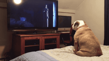 Watching Scary Movie in funny gifs