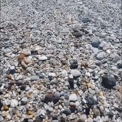 Me gustan las piedras marinas