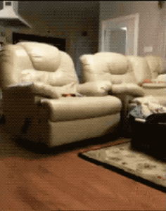 Thats My Chair in funny gifs