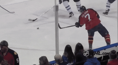 Ice Hockey Fl Panthers GIF by NHL