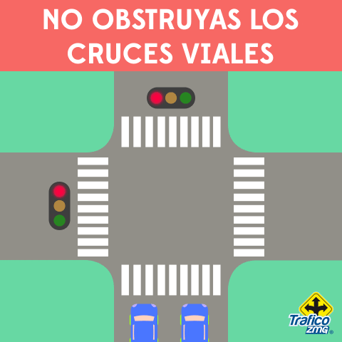 Consejos GIF by traficozmg