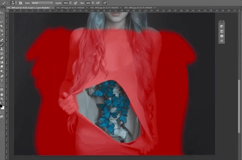 фотография бабочки в животе, 