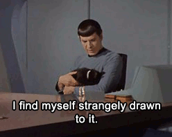 Mr.Spock-Drawn-To-A-Black-Cat