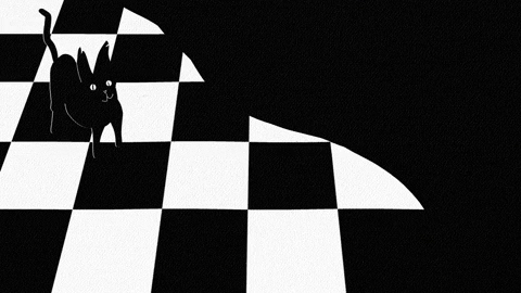 Black And White Wtf GIF by boy.betts