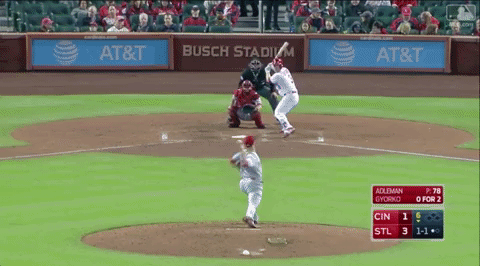St Louis Cardinals GIF - Find & Share on GIPHY