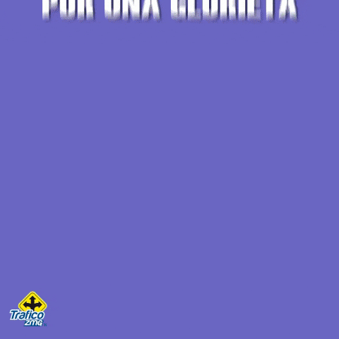 Consejos GIF by traficozmg
