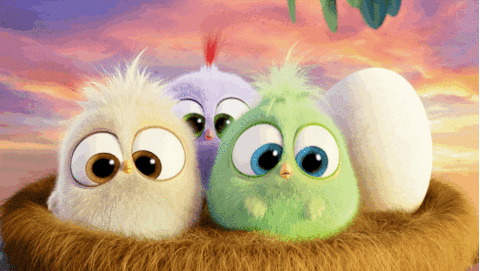 #1 Hatchlings GIF by Angry Birds - Find & Share on GIPHY