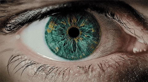 Midriasis del Ojo