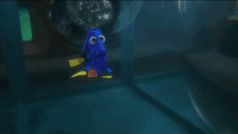 Disney/Pixar's Finding Dory octopus finding dory