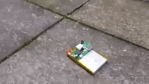 giphy.gif