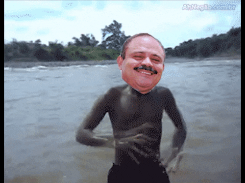 giphy.gif