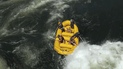 Rafting GIFs - Find & Share on GIPHY