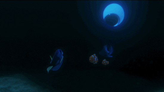 Finding Dory GIF by Disney/Pixar's Finding Dory