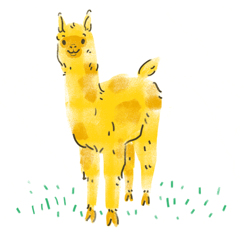 llama