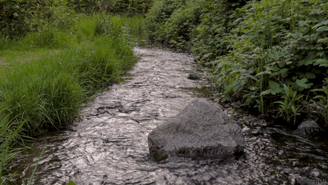 Gif Water animated GIF