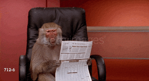 glasses newsletter newspaper baboon office monkey
