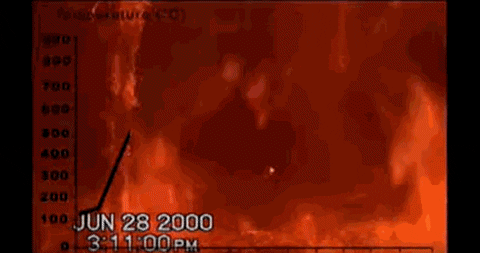 giphy.gif