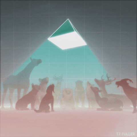 TJ Fuller animals pyramid