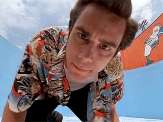 https://media.giphy.com/media/3o85xIIplmkLmrGEVO/giphy.gif