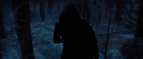 giphy.gif