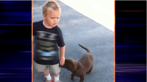 GIF by World’s Funniest - Find & Share on GIPHY