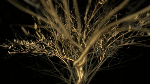 limeartgroup gold tree visuals particles