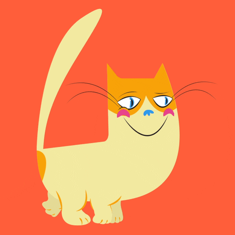 Cool Cat GIF by Tim - Find & Share on GIPHY
