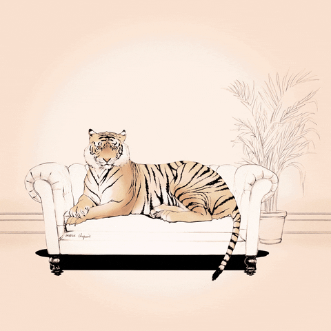 Illustration Yawn GIF by Marie Chapuis - Find & Share on GIPHY