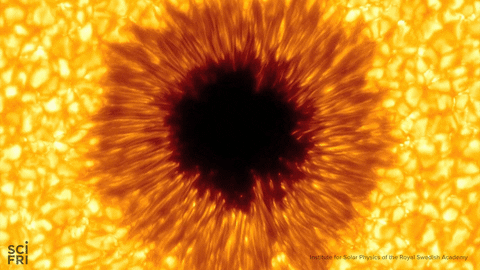 Uncategorized Sun Animated Gif sun spot gif by science friday find share on giphy friday